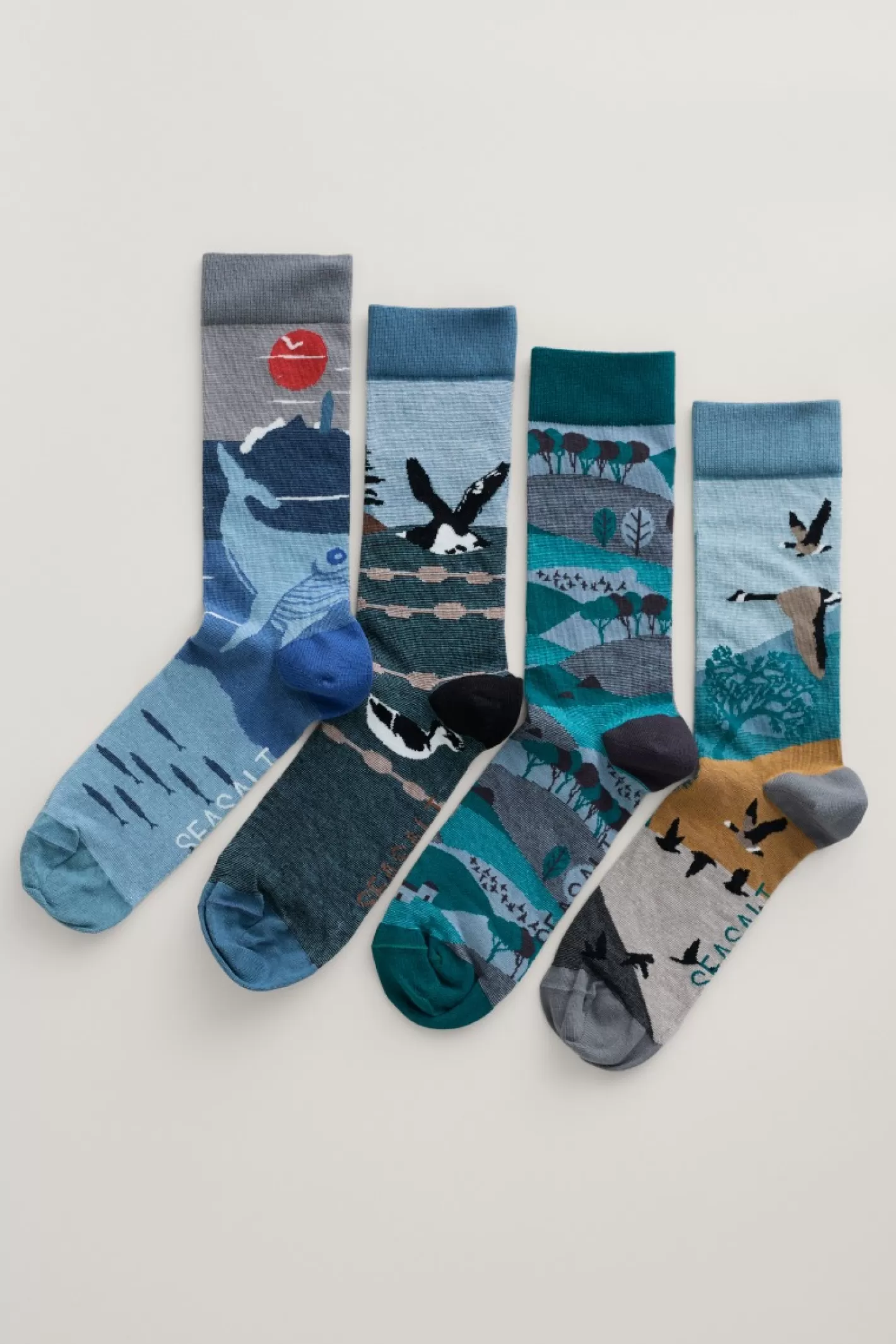 Best Box Of 4 Men's Postcard Socks Men Socks