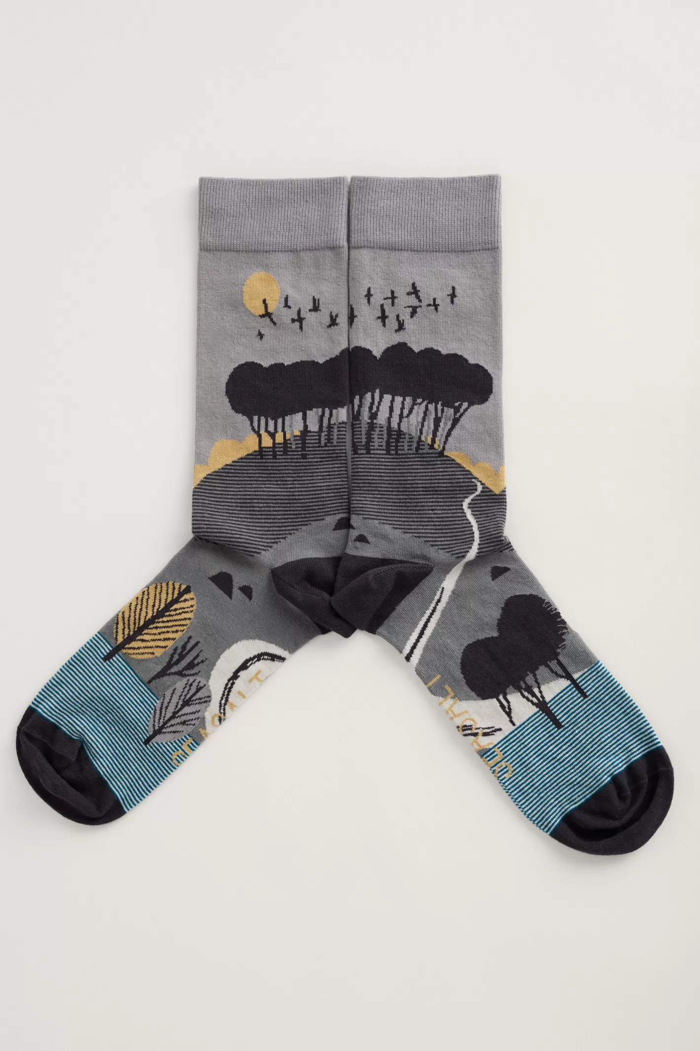 Best Men's Postcard Socks Men Socks