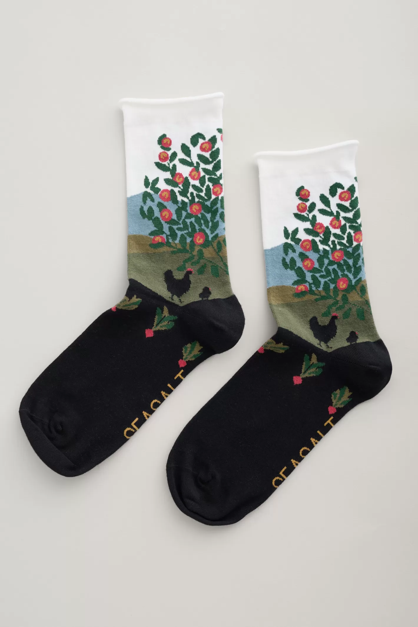 Flash Sale Women's Postcard Organic Cotton Socks Women Socks & Tights